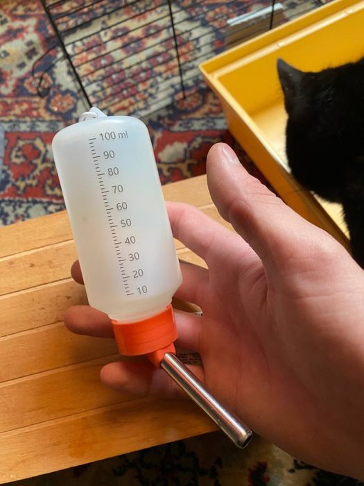 клетка для грызуна, домика, поилка все за 300 грн