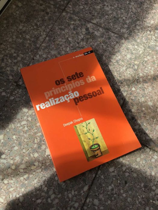 livro os sete principios da realizacao pessoal
