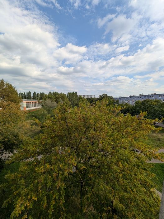Zdjęcie 6