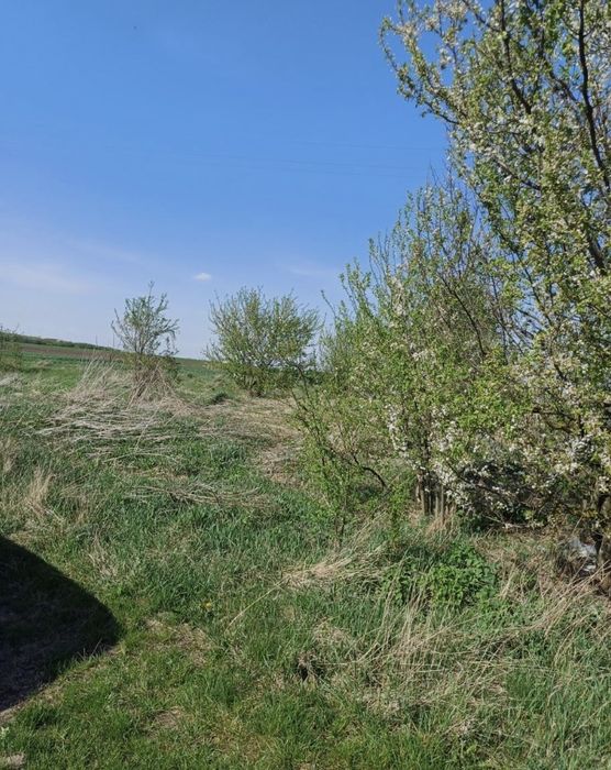 Продаю дачну земельну ділянку у с.Лаврів, масив Квітневе