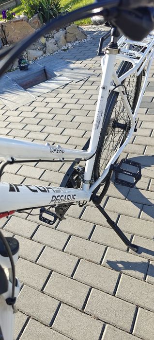Rower Pegasus Opero