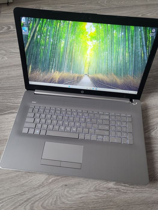 Ігровий HP 17_6 ядер AMD Ryzen 5-4500u_128gb_17.3": 6 780 грн ...