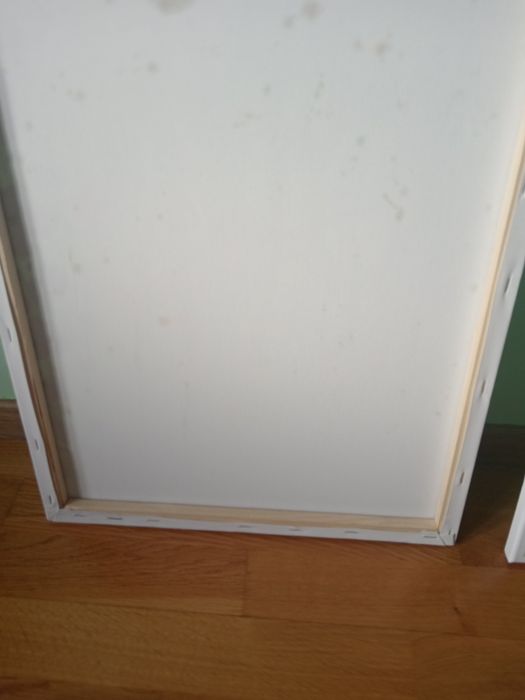 Пастозно. Олійні ф. 50-40см.