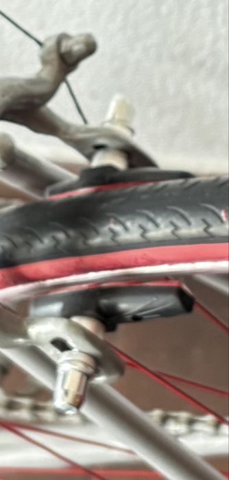 Bicicleta single speed