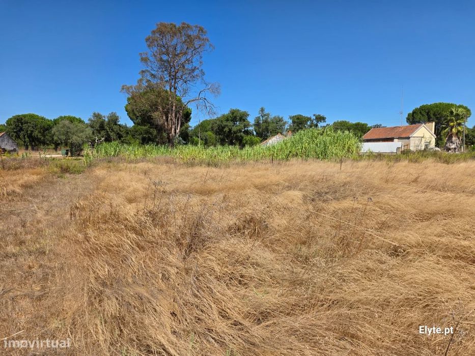 Moradia com terreno Urbano na Branca
