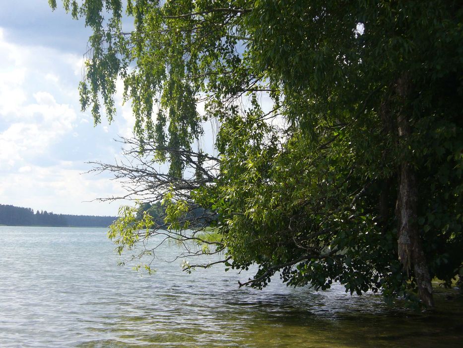 Domek nad jeziorem Serwy wolne terminy wrzesień
