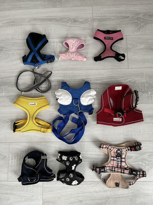 НОВИНКИ! поводки, шлейки Одяг для собак і котів