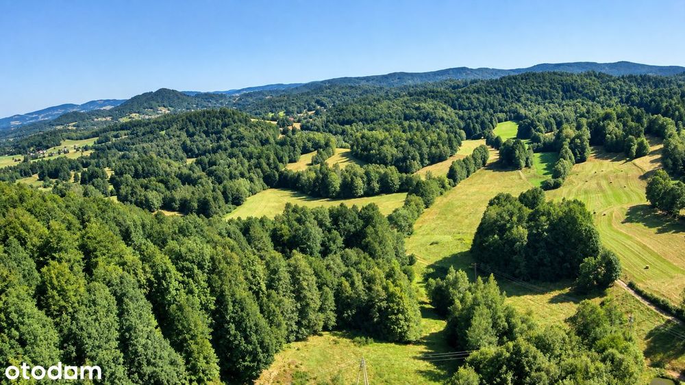 Działka Budowlana/Góry/Las/Media/Karkonosze/Bukowiec/Widok/1400 m² - Widok 4