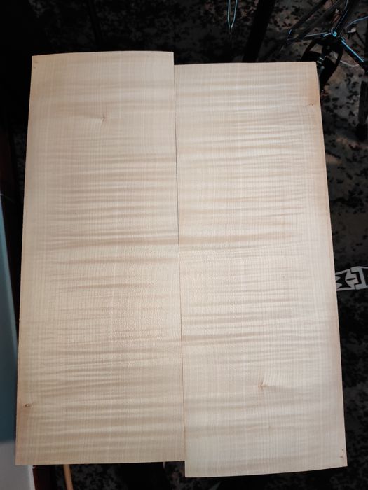 Folha de Flamed Maple64284991153281121