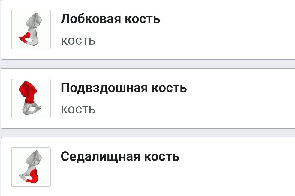 Профессиональный массаж