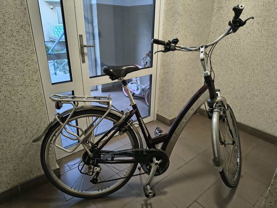 Rower holenderski damka