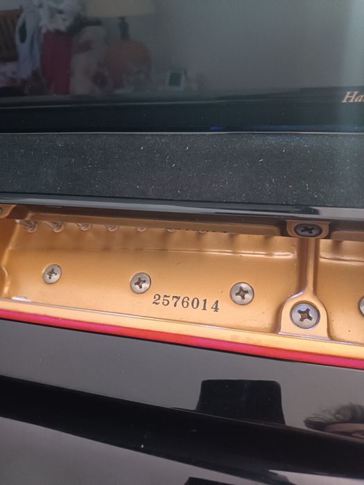 Piano de cauda Kawai RX-5 (2009) – Excelente estado mecânico, com sistema de controlo de humidade