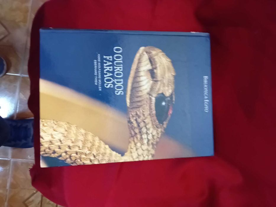 O Ouro dos Faraós