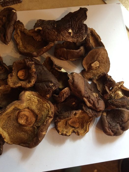 Grzyby suszone- podgrzybki