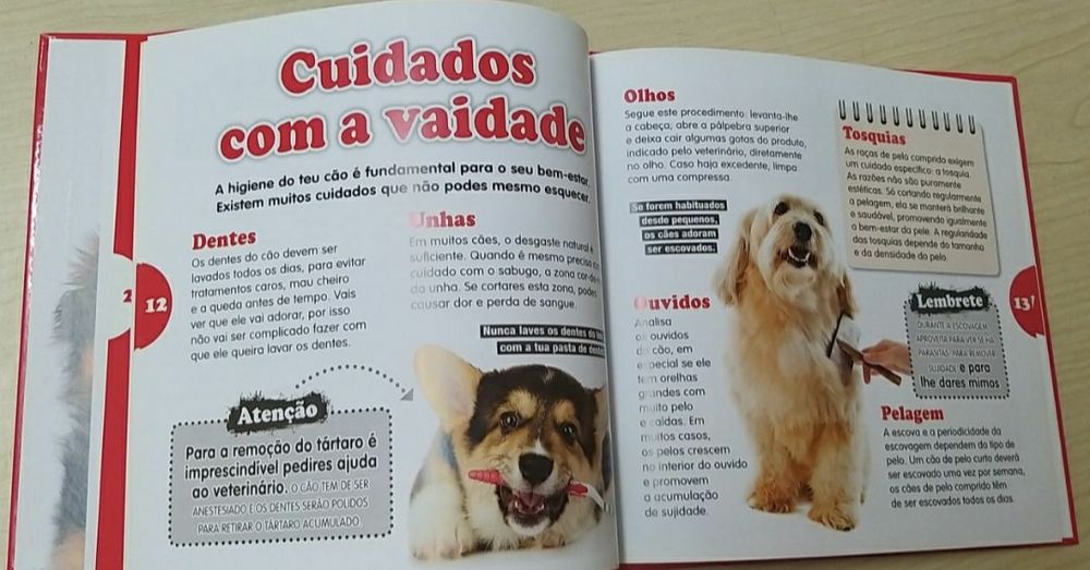 Mãe, Pai! Eu Quero Um...