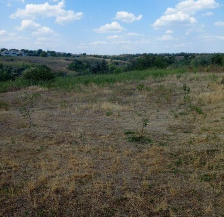 Продається дім з великою ділянкою