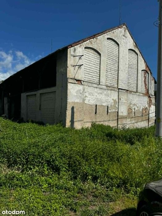 Zdjęcie 6