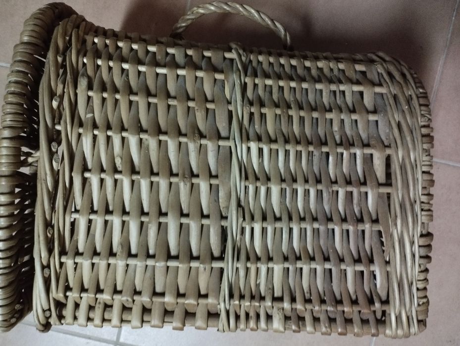 Transportadora de gatos