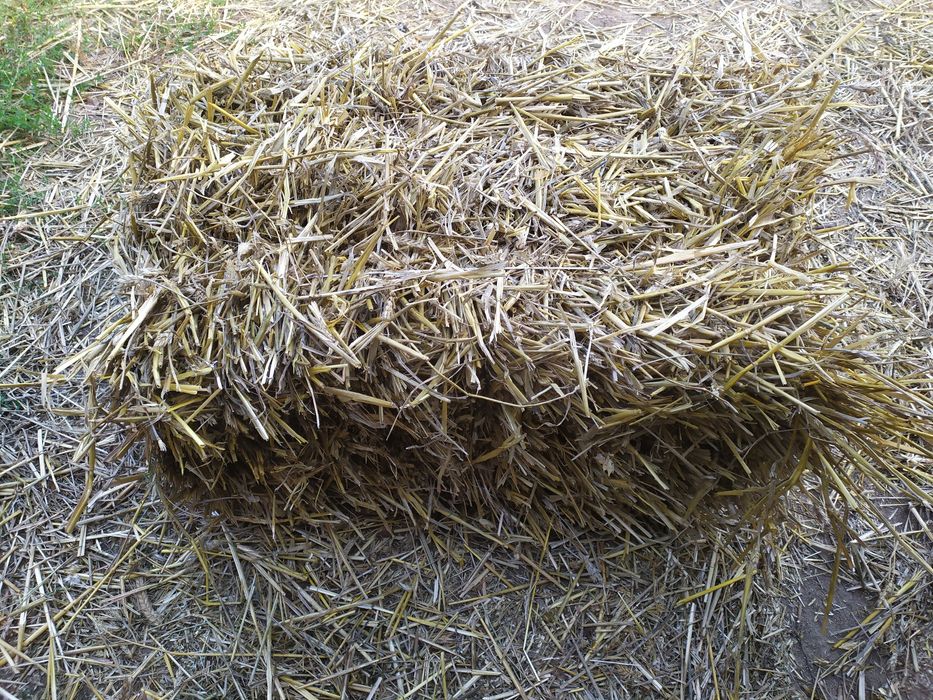 Słoma w kostkach