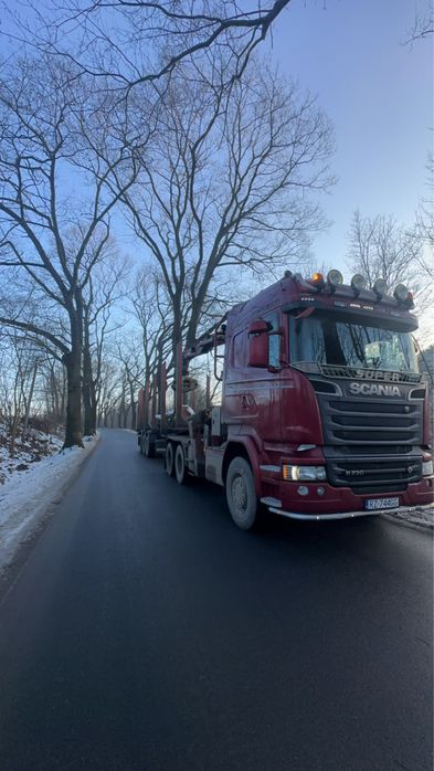 Transport drewna usługi hds dłużyca