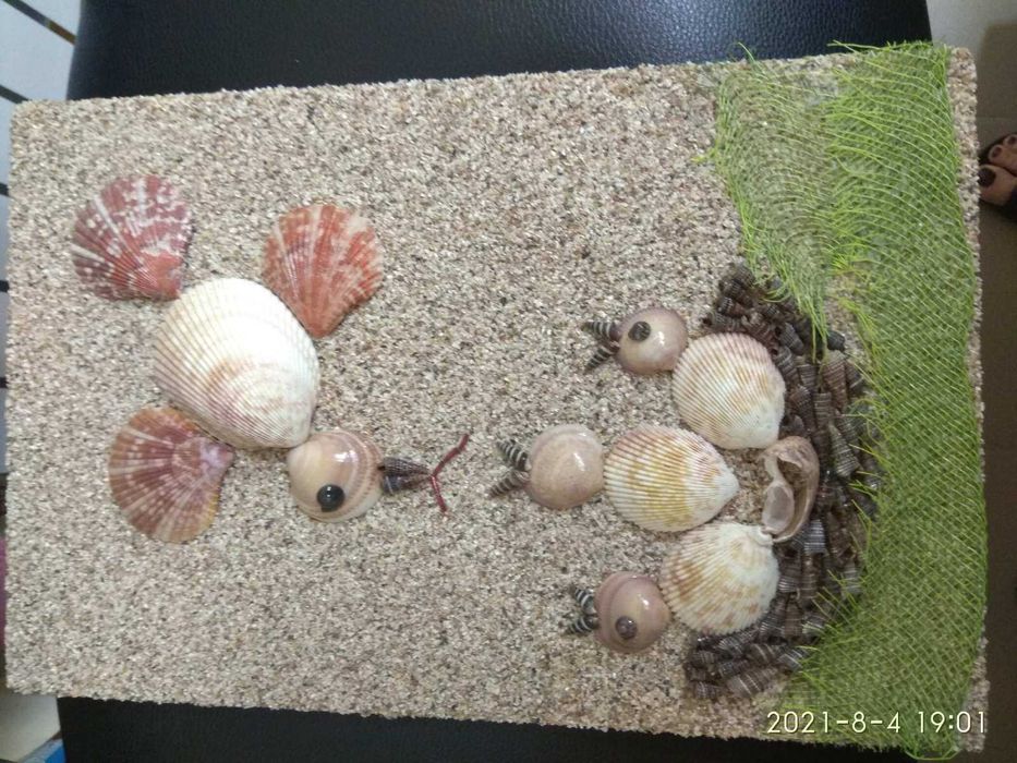 Поделка из морской ракушки