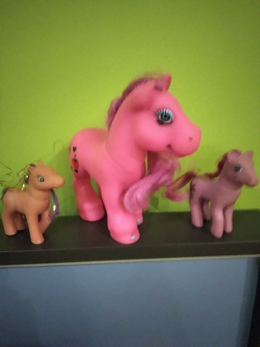 Piękne kolorowe kucyki