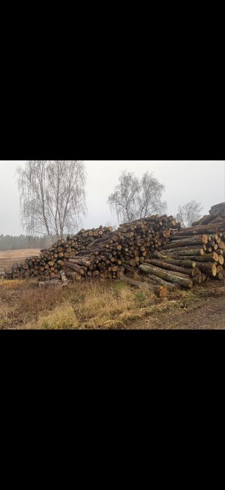 Drewno Kominkowe Dąb
