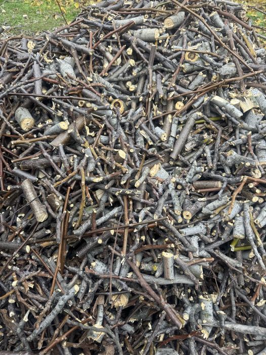 Дрова гілка-дроблена економ