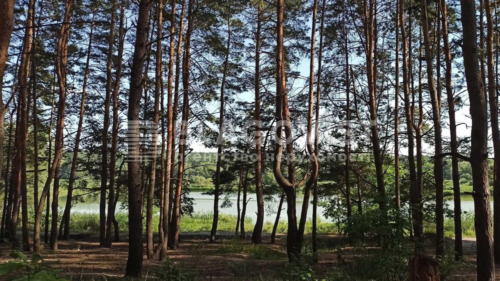 Продаж Бази Відпочинку серед Лісу ! 6.9 Га ! Червоний Хутір