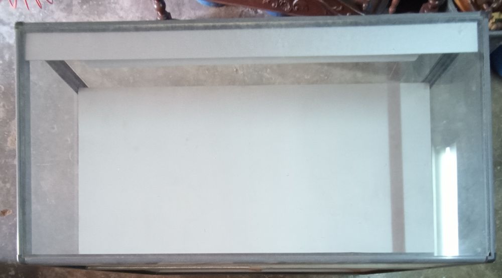 Balcão montra vitrine