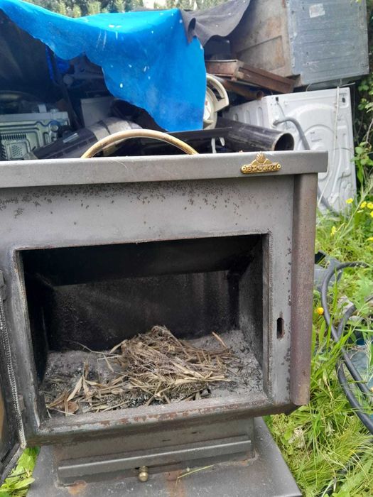 Salamandra em bom estado