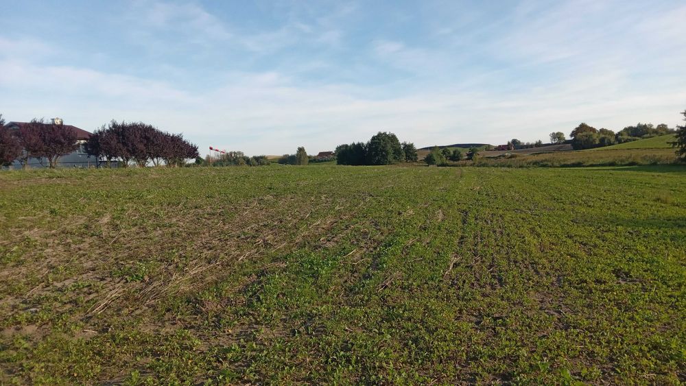 Działka budowlana Koślinka Sztum Malbork - Widok 3