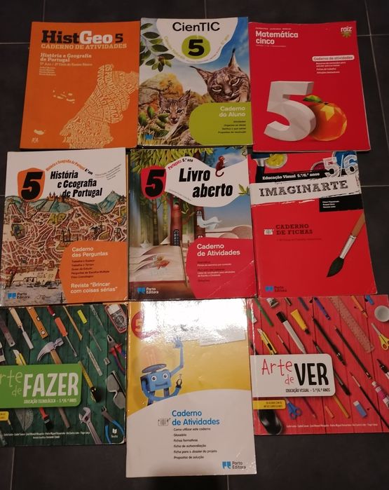 Livros de actividades do 5 ano