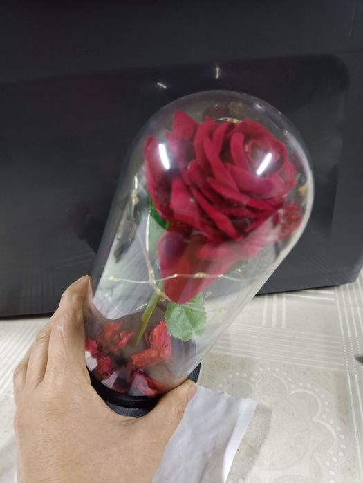 A bela e o monstro Rosa vermelha dia dos namorados