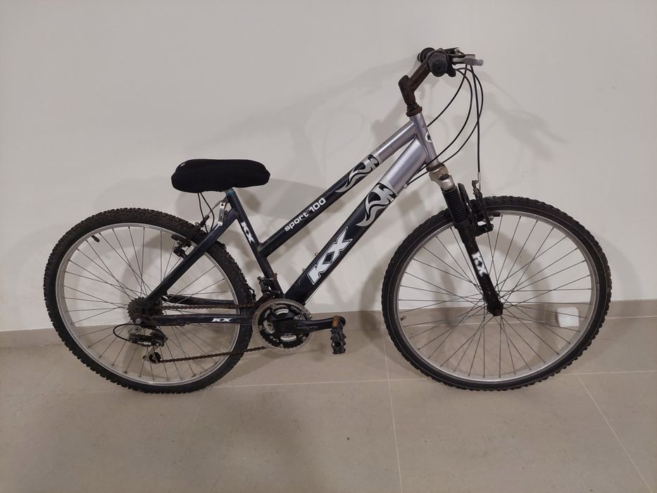 Bicicleta e capa de selim