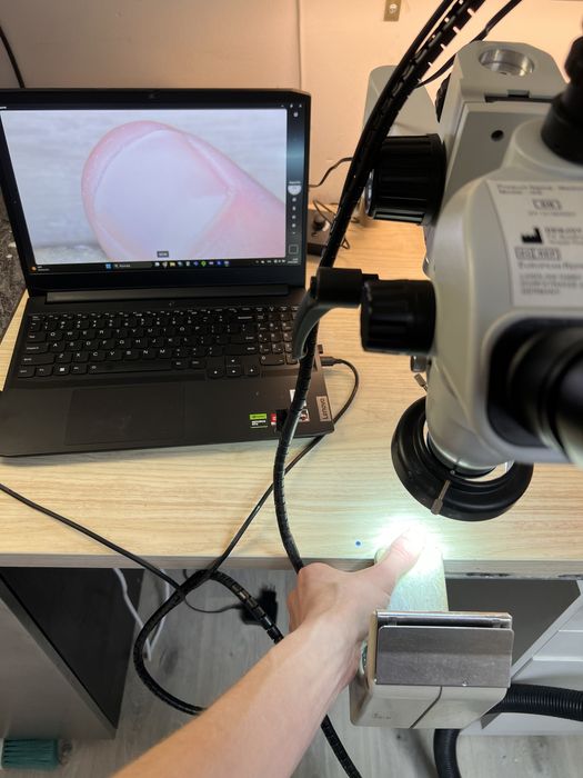 Mikroscope IX6 medical mikroscope