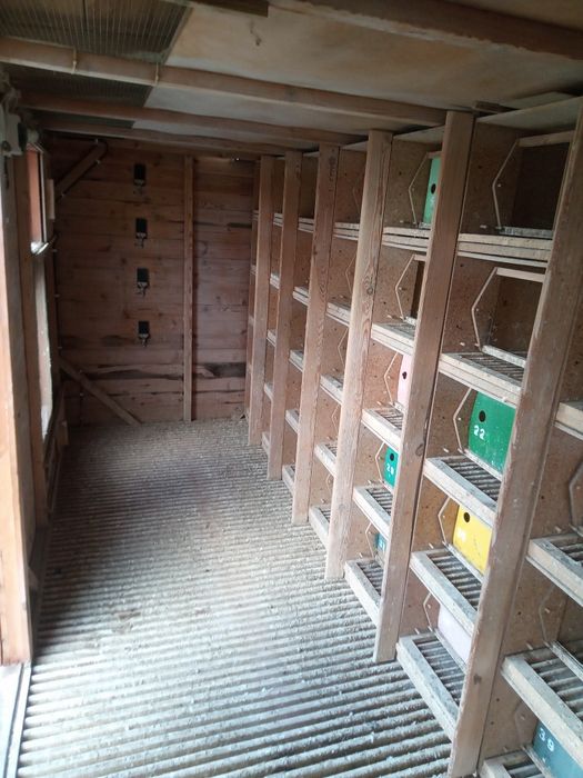 Gołębnik lotowy 5x2m gołębie pocztowe