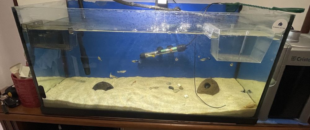 Aquario 80x40x30