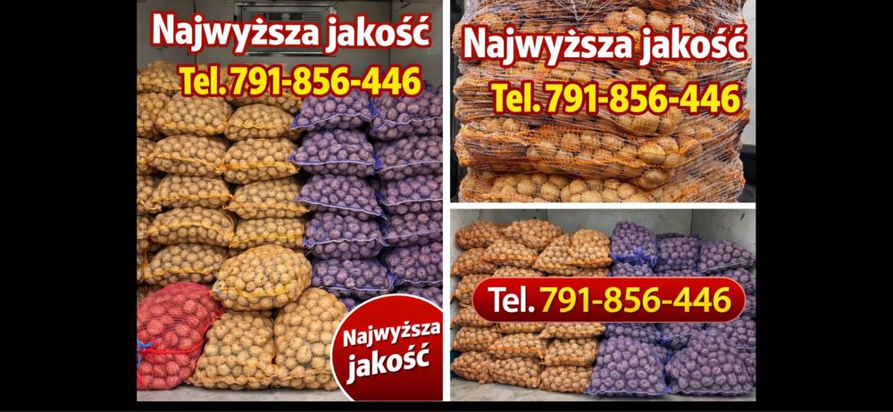 Ziemniaki l rok po centrali kal. sadzeniaka i jadalnego-dostawa gratis
