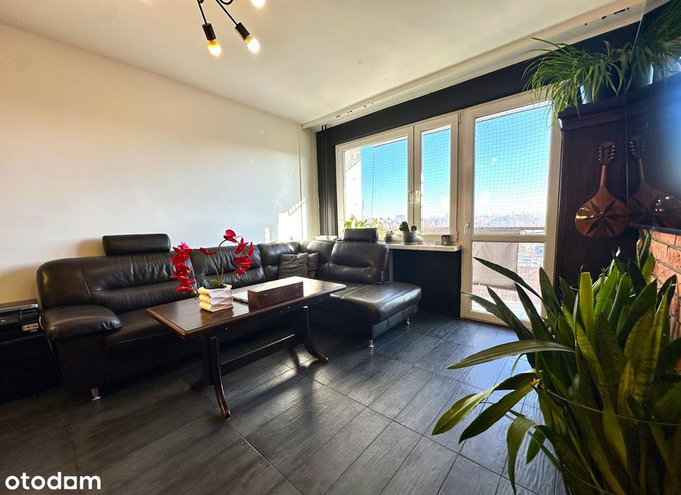 Do zamieszkania  - pok / 56 m 2