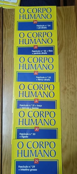 Coleção do Corpo Humano
