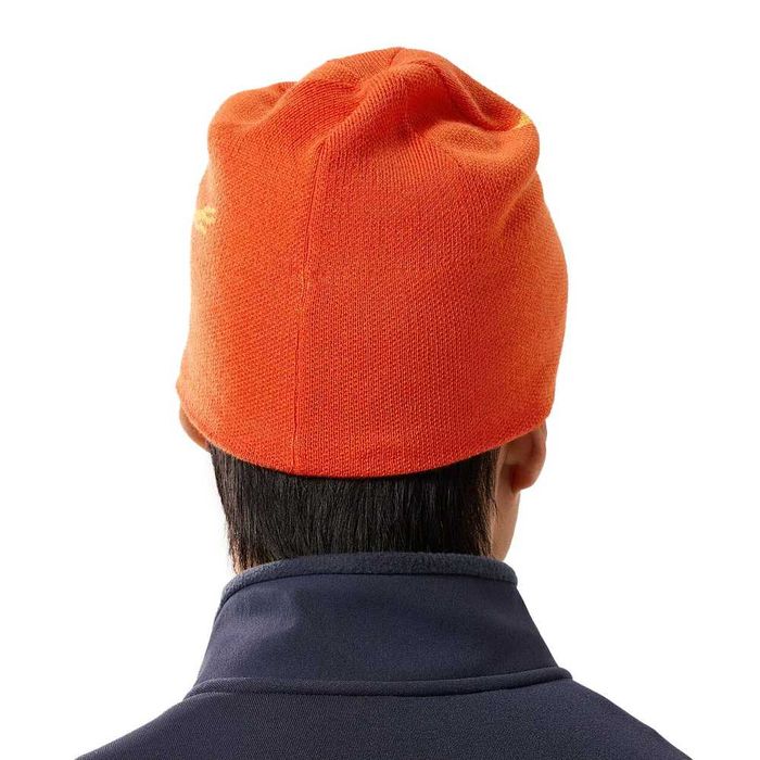 Шапка Arcteryx Bird Head Toque Solaris/Edziza