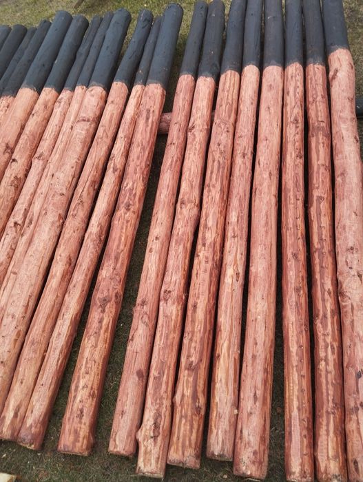 Słupki sosnowe korowane 250 cm