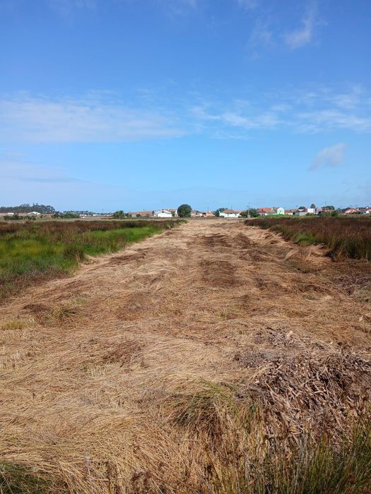 Terreno rústico com vista para a ria.