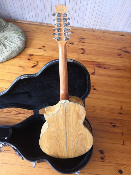 Ibanez ew20 12 strunowa
