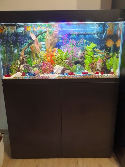 Akwarium Aquel 200l (pokrywa oświetl.)stan idealny + szafka oryginalna