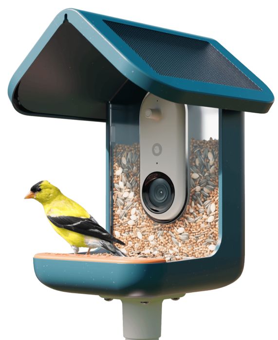 Birdbuddy Pro Solar — розумна годівниця з камерою 2K та штучним інтелектом