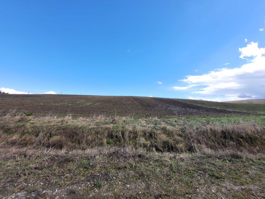 Земельна ділянка 376 сот в Колодіївці