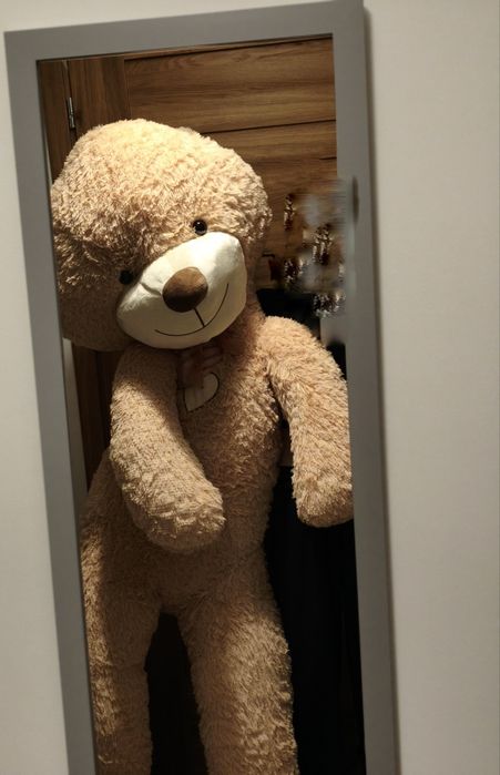 Duży pluszowy miś 180cm