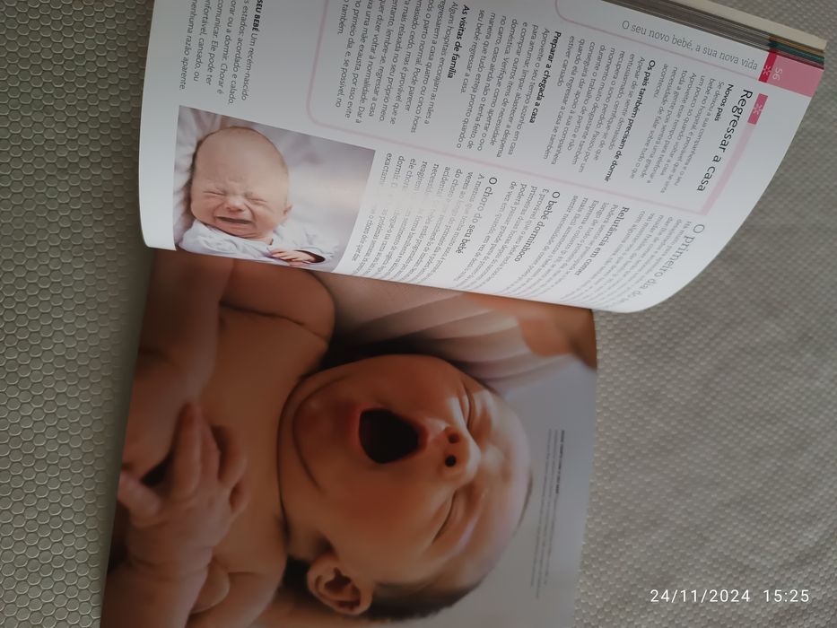 Livro "Pais pela primeira vez"